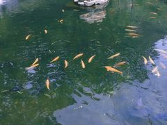 -大连天门山国家森林公园
