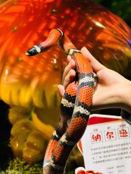 -酷嗒动物文化乐园(cutezoo西溪乐天城店)