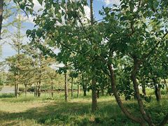 -野鸭湖国家湿地公园