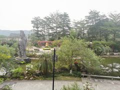 -广州神农草堂中医药博物馆