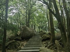-火炉山森林公园