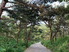 -金太阳海鲜烧烤·本地人餐厅(东纬路旗舰店)