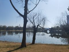 -高子水居