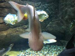 -多彩贵州城极地海洋世界