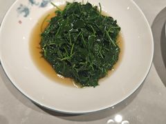 -乔家栅(襄阳南路店)