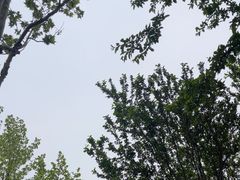 -云栖竹径