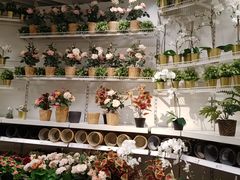 -宜家家居(西安未央商场店)