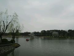 -上海鲜花港