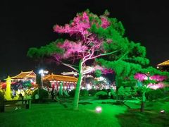 -大雁塔北广场音乐喷泉
