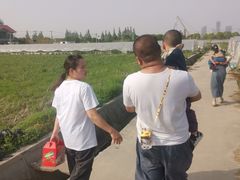 -小鱼草莓采摘园农家乐·小鱼餐厅