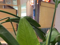 -沼津港精致料理·寿喜烧·烧鸟(漕河泾印象城店)