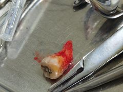 -天津医科大学第二医院