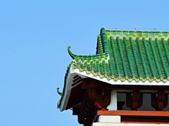 -王借岗森林公园