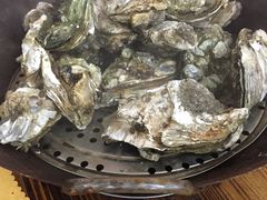 -蚝专家(北滘店)