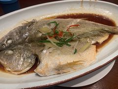 -渔傅印象滩涂霞浦海鲜(井大路店)