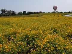 -歌斐颂巧克力小镇