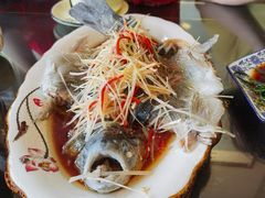 -有家驴肉黄面(敦煌店)