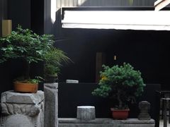 -觀芷隐轩
