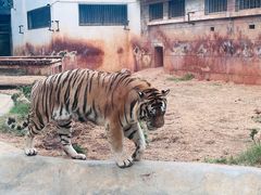 -昆明动物园