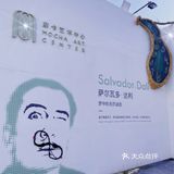 北京看展/萨尔瓦多·达利💡意识 时间 超现实