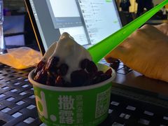 -Salud撒露欧洲冻酸奶(蓝色港湾店)