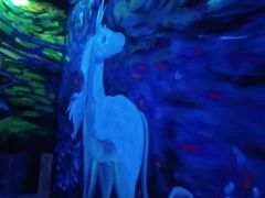 -深圳独角兽星空艺术馆