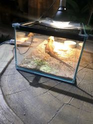 -酷嗒动物文化乐园(cutezoo西溪乐天城店)