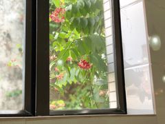 -芬芳甜品(同福路店)