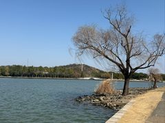 -上海月湖雕塑公园