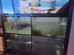-蜀九香火锅(江油店)