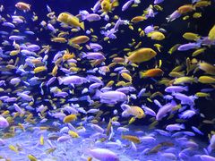 -成都浩海立方海洋公园