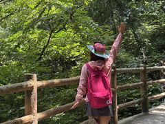 -少华山国家森林公园