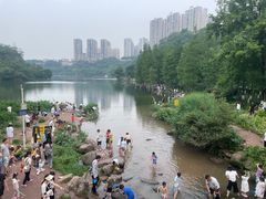 -重庆彩云湖湿地公园