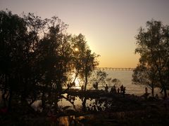 -宝安西湾红树林湿地公园