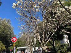 -翠湖宾馆·中餐厅