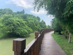 -八大山人梅湖景区