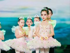 -小荧星艺校(浦东中环分校)