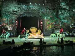 -广州长隆国际大马戏