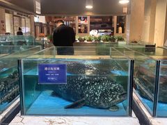 -旺顺阁海鲜广场(亚运村店)