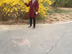 -朝阳公园游乐园