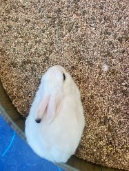 点击看大图 -思诺卡儿童俱乐部(东方广场店)