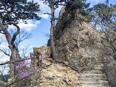 -大连天门山国家森林公园