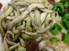 禾虫拼牛筋腩捞河粉-荔林食店(西华路店)