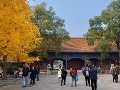 -晋祠公园