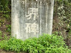 -明仕田园