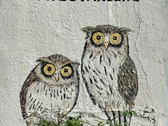 -槟城街头艺术街区