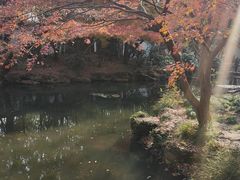 -秋霞圃