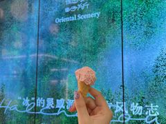 福州红酒酒酿冰激淋-鹤茶野所(上海首店)