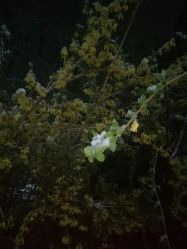 -小时光摄影工作室