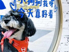 -小意思咖啡店(草桥店)